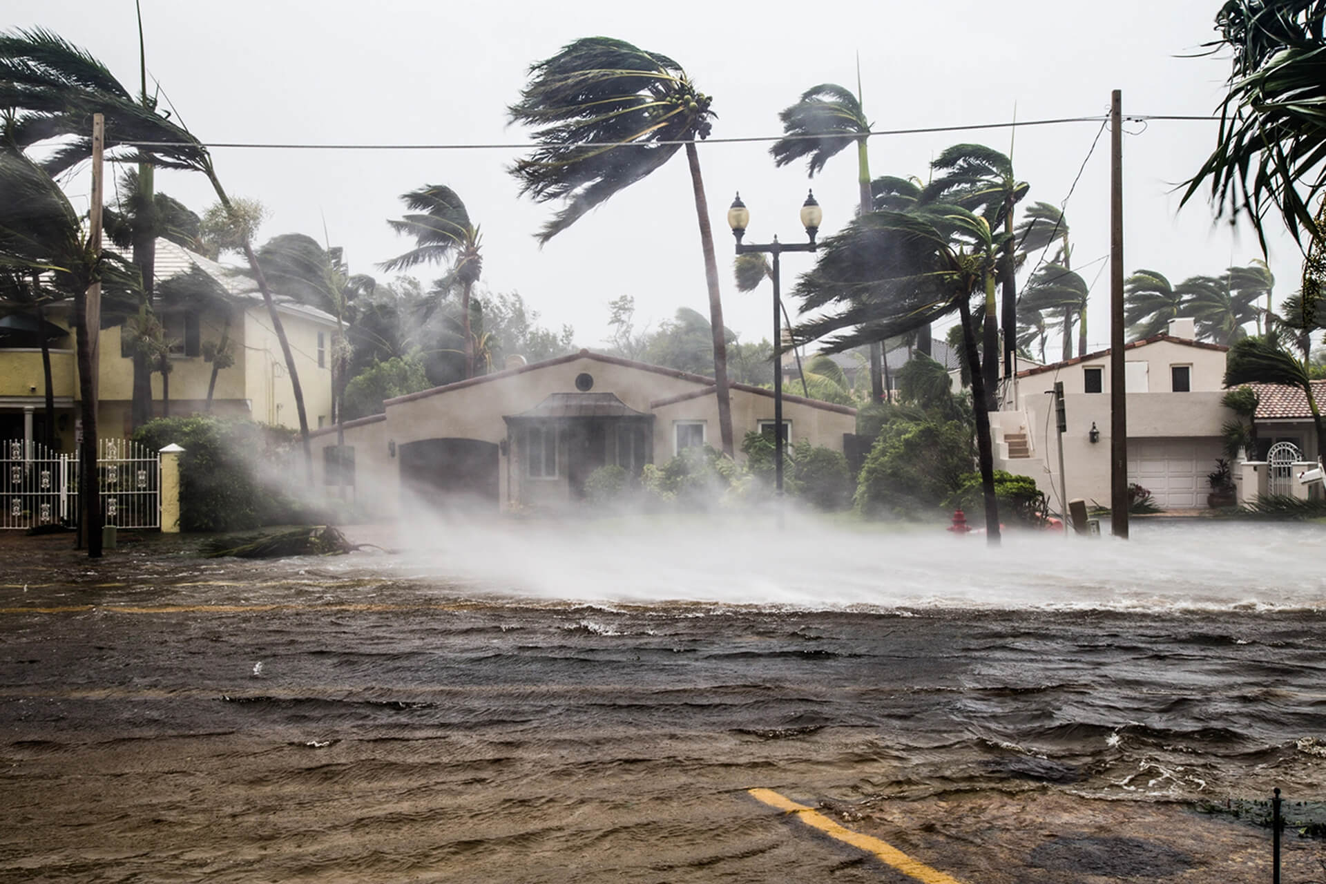 Disaster Hurricane