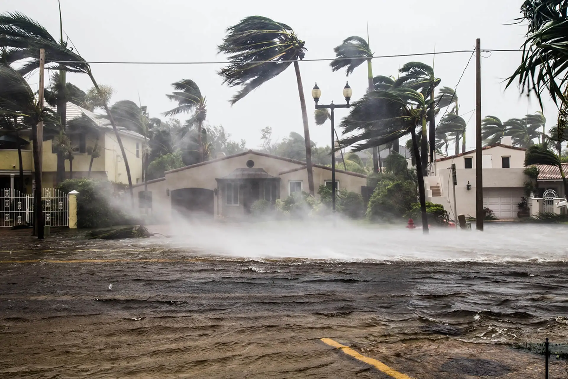 Disaster Hurricane